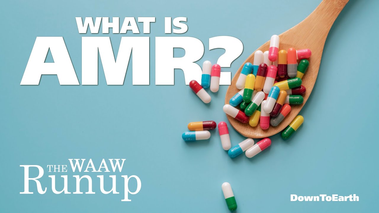 Antimicrobial resistance (AMR) is invisible, but its victims are not | What is AMR?