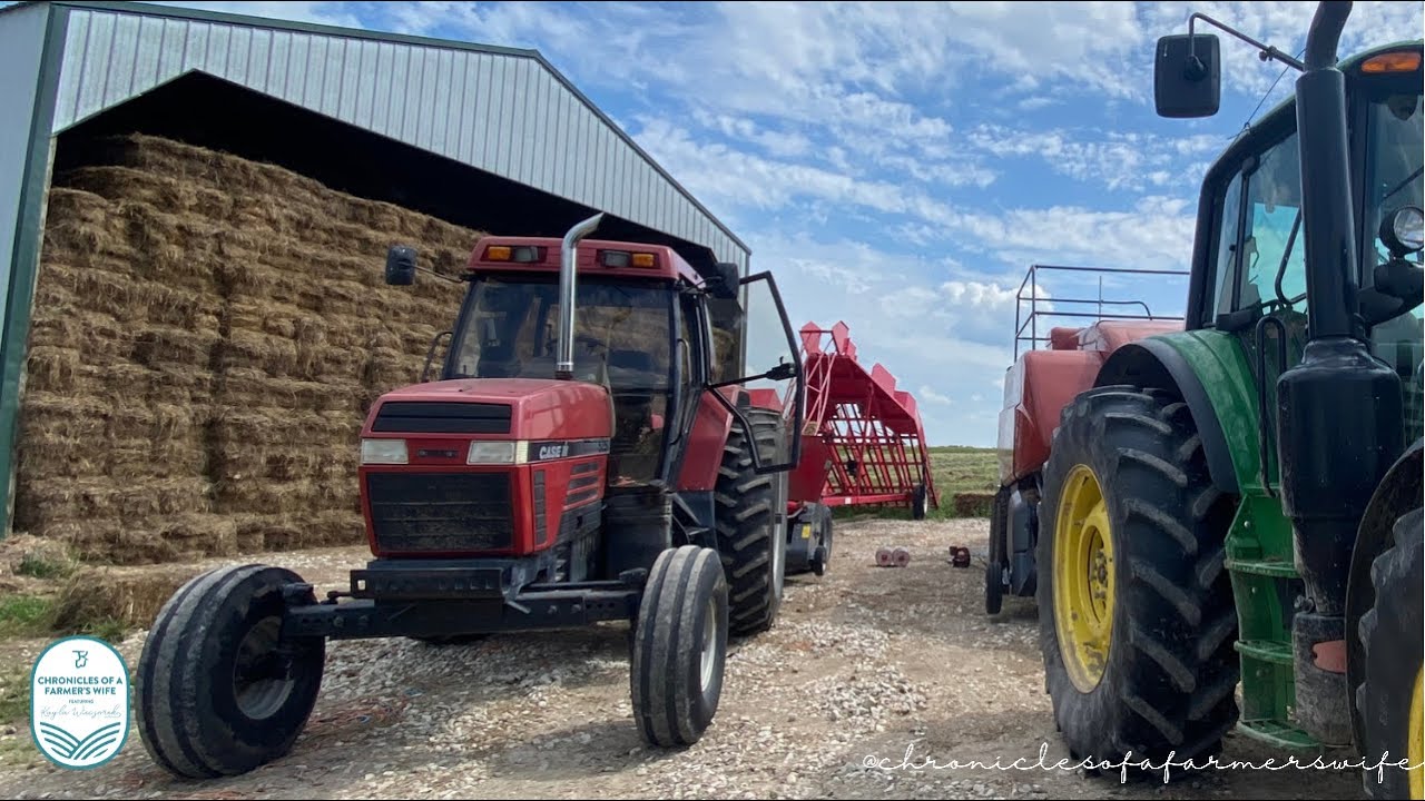 Lets bale 3rd cut Alfalfa: watch the Massey 1841 Square Baler & Kuhns Accumulator #WieczorekFarms
