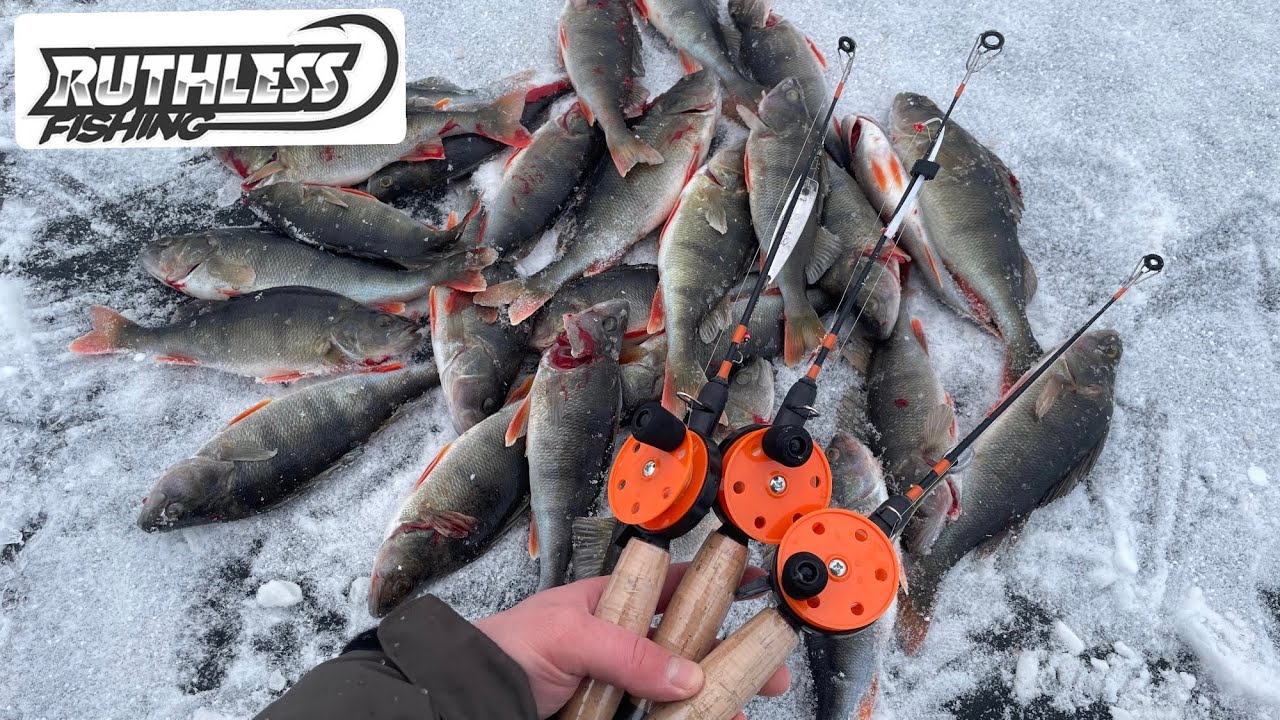 Testataan Kaikki Ruthlessin Pilkkivälineet!