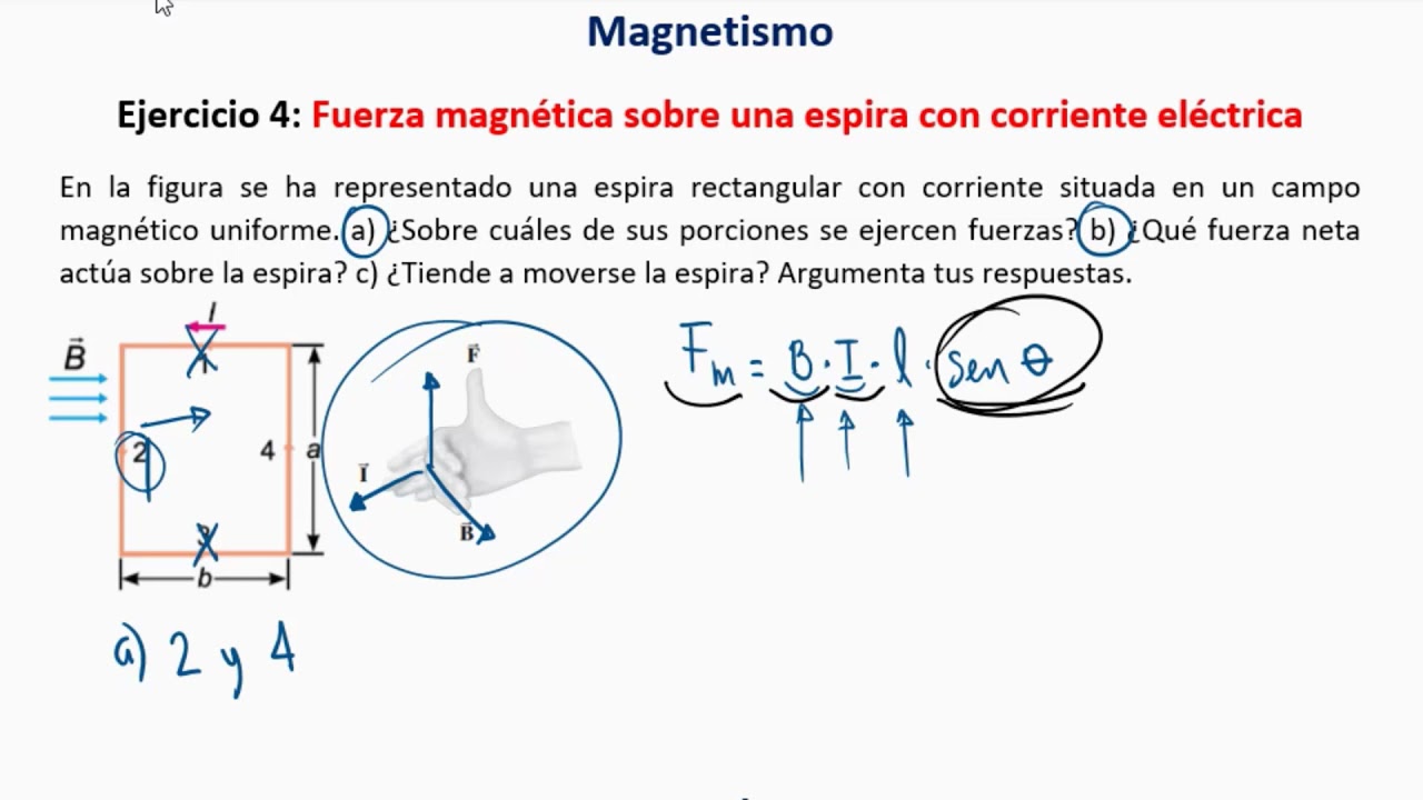 MAGNETISMO - EJERCICIOS 4: Fuerza magnética sobre una espira con corriente