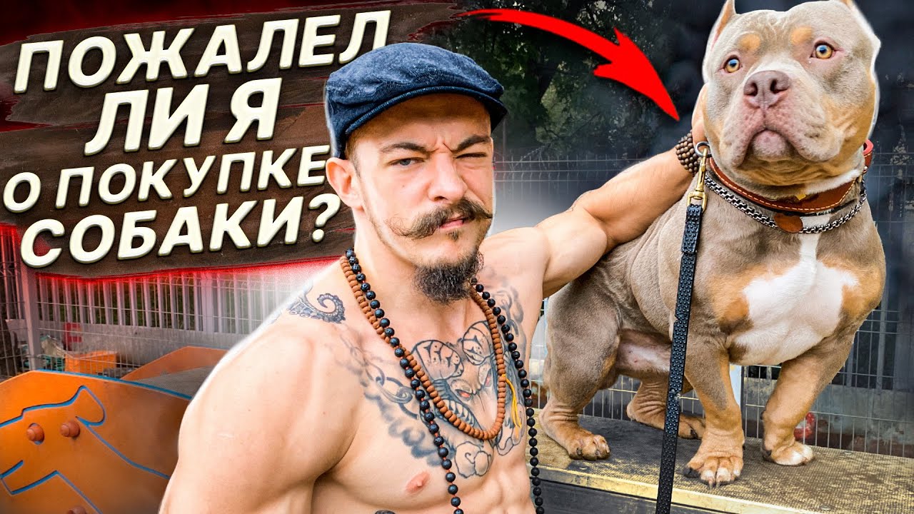 ПОЖАЛЕЛ ЛИ Я О ПОКУПКЕ СОБАКИ СПУСТЯ 2 ГОДА?