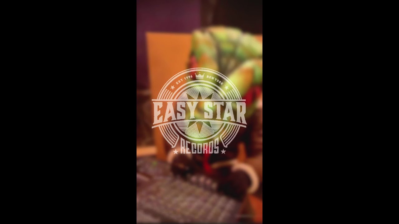 Easy Star's 2024 Year in Review: Flying Vipers - Show Me