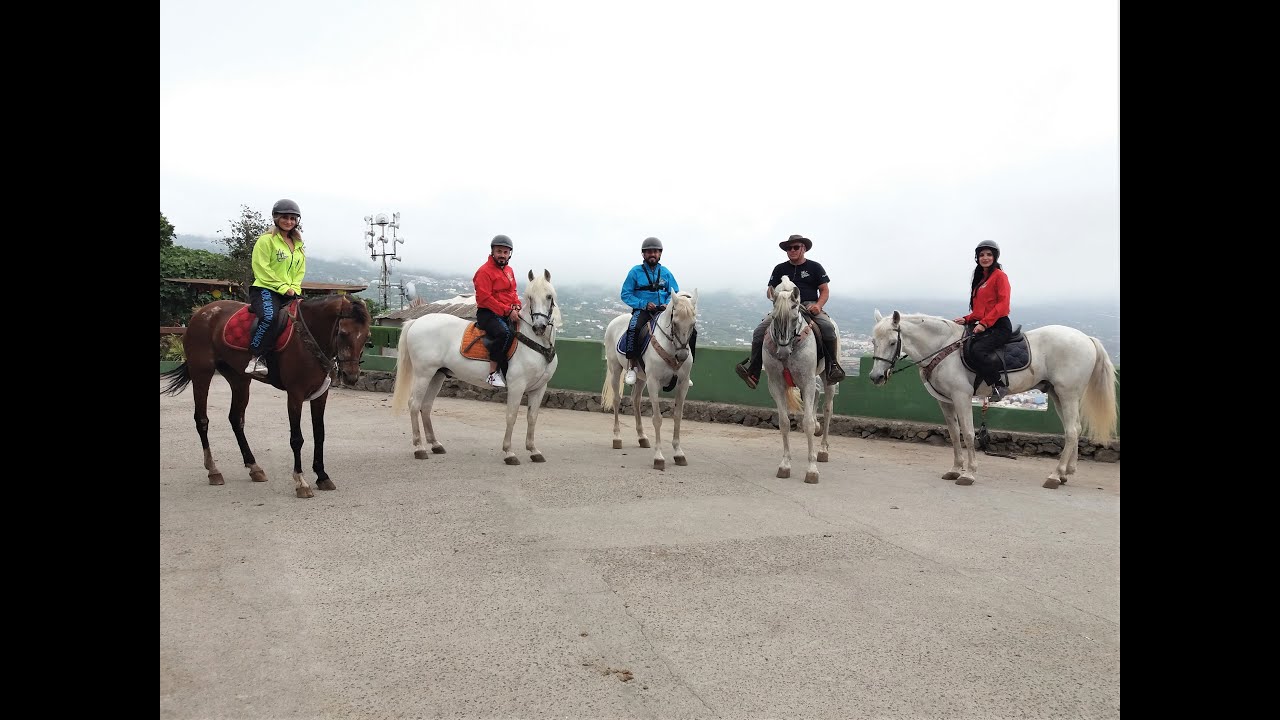 Horse riding Tenerife