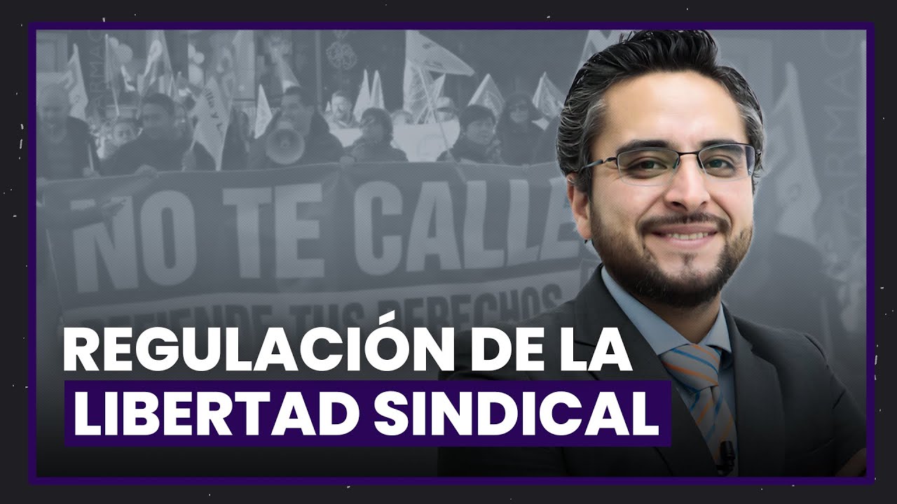 Normas que regulan la libertad sindical