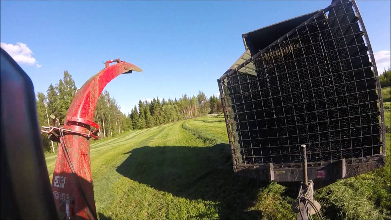 Rehuntekoa 2016 ensimmäinen sato