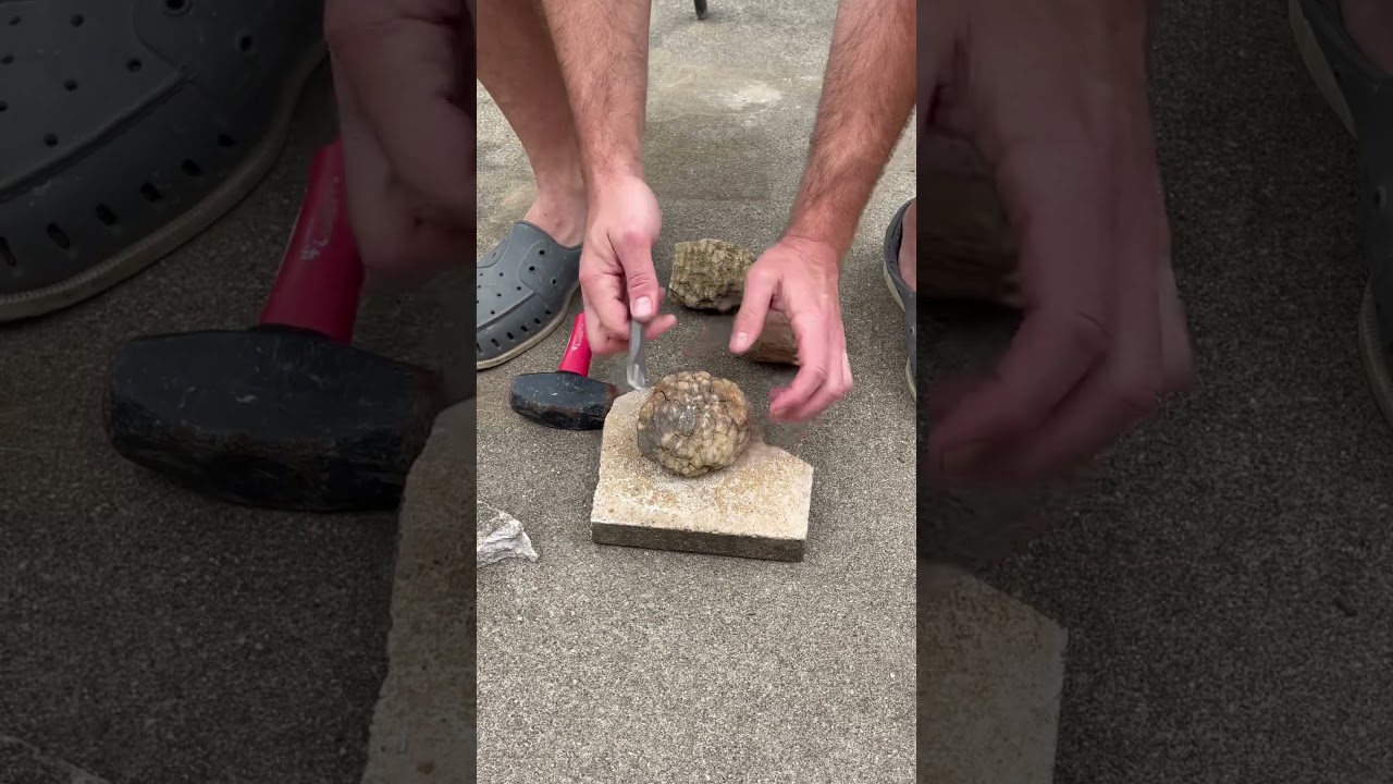 Breaking open a geode | Chisel and sledge hammer method | Indiana Rockhounding