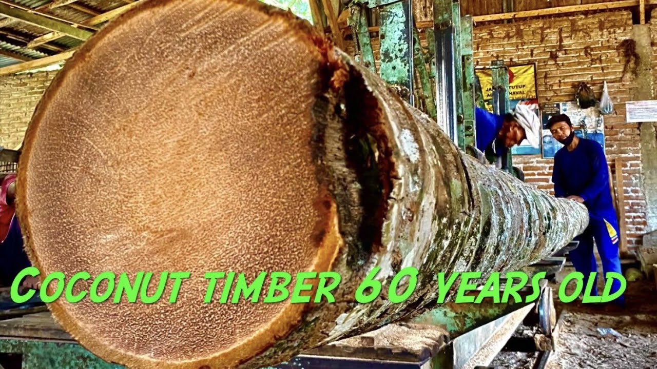 how to saw 11 m coconut timber in block sawmill amerika from beam minimalis home