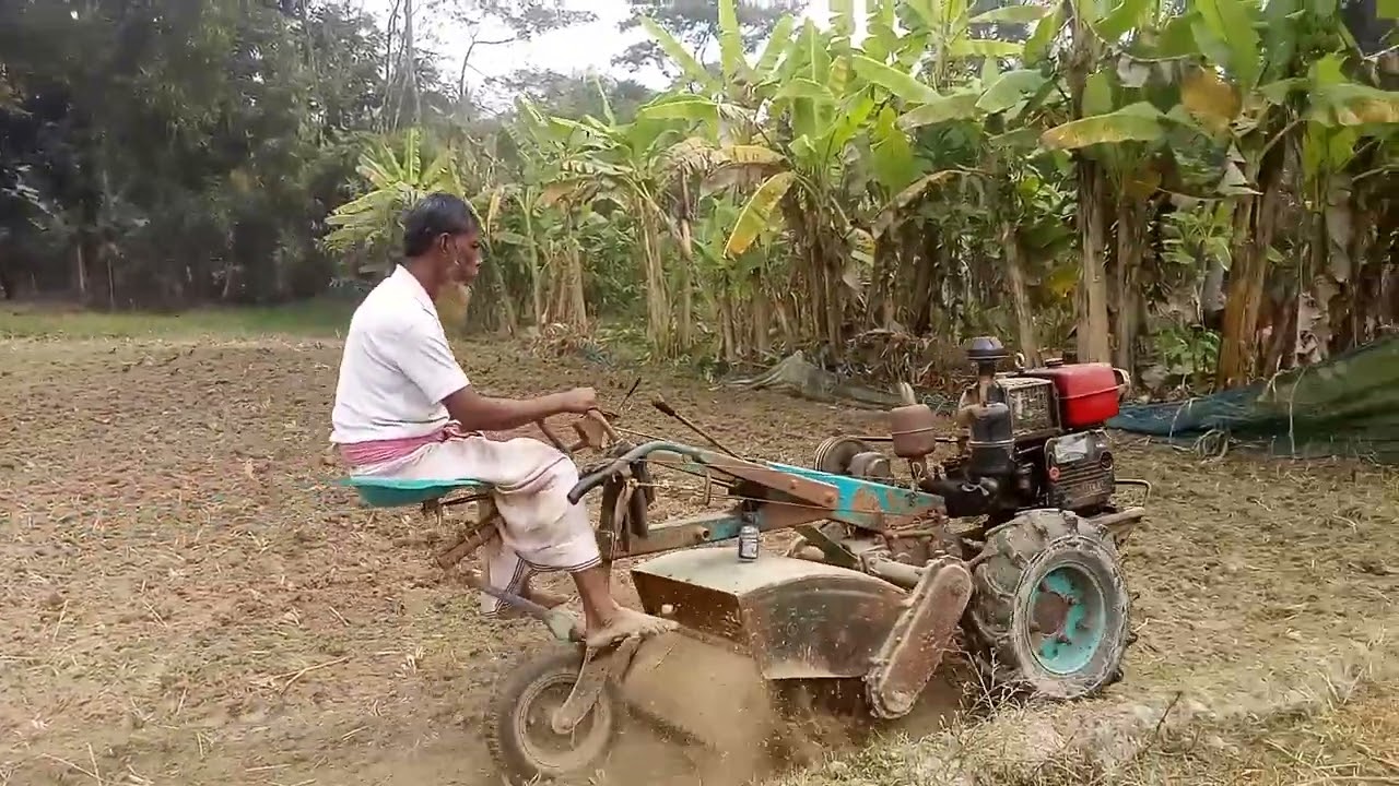 ট্রা্ক্টর দিয়ে জমি চাষ। #field #cultivation #land 