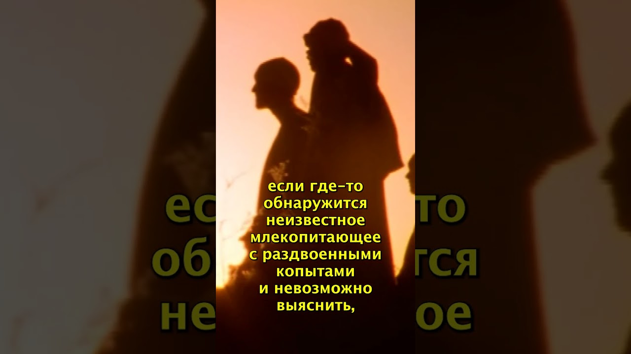 &laquo;Шмини&raquo; | Недельная глава Торы