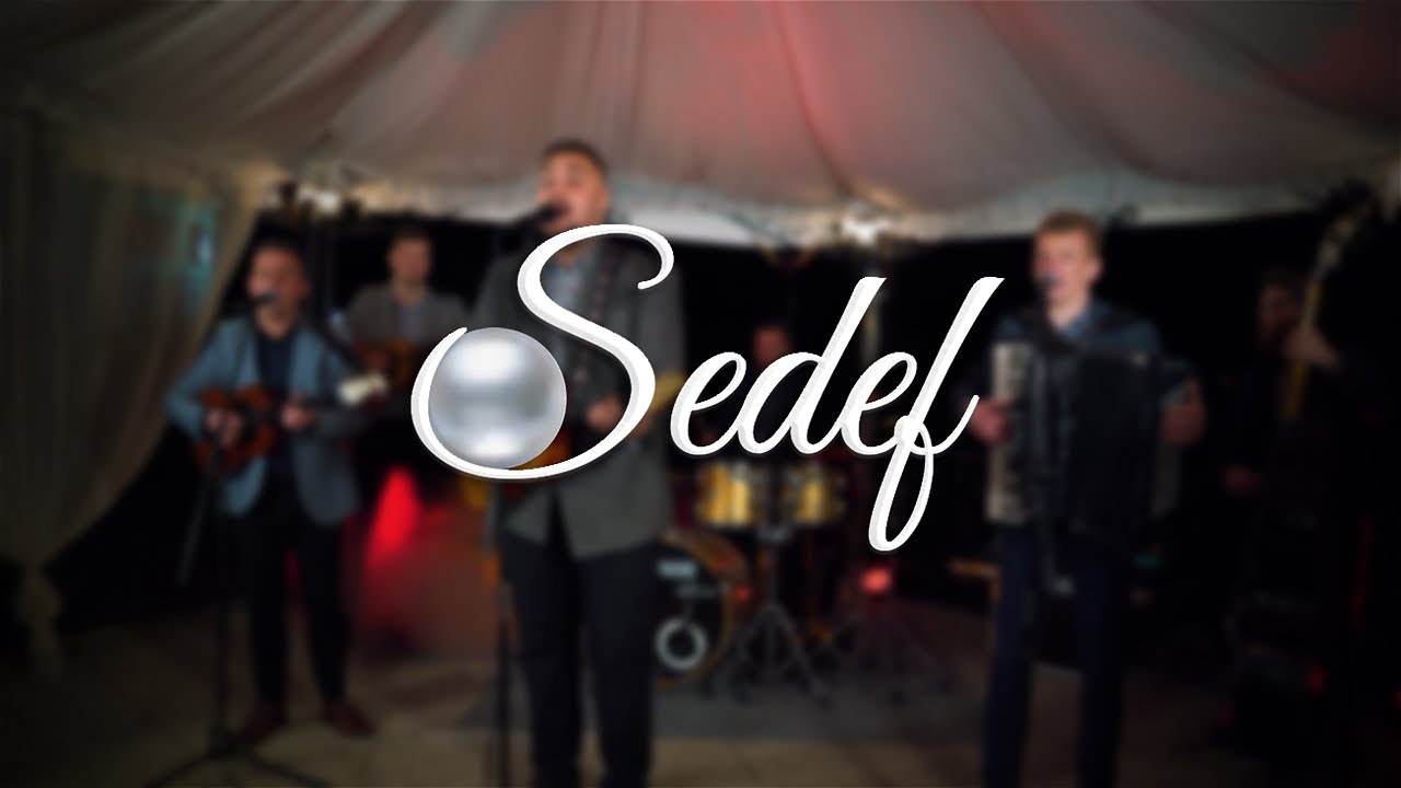 Sedef - Dajem ti rič (Dalmatino Cover)