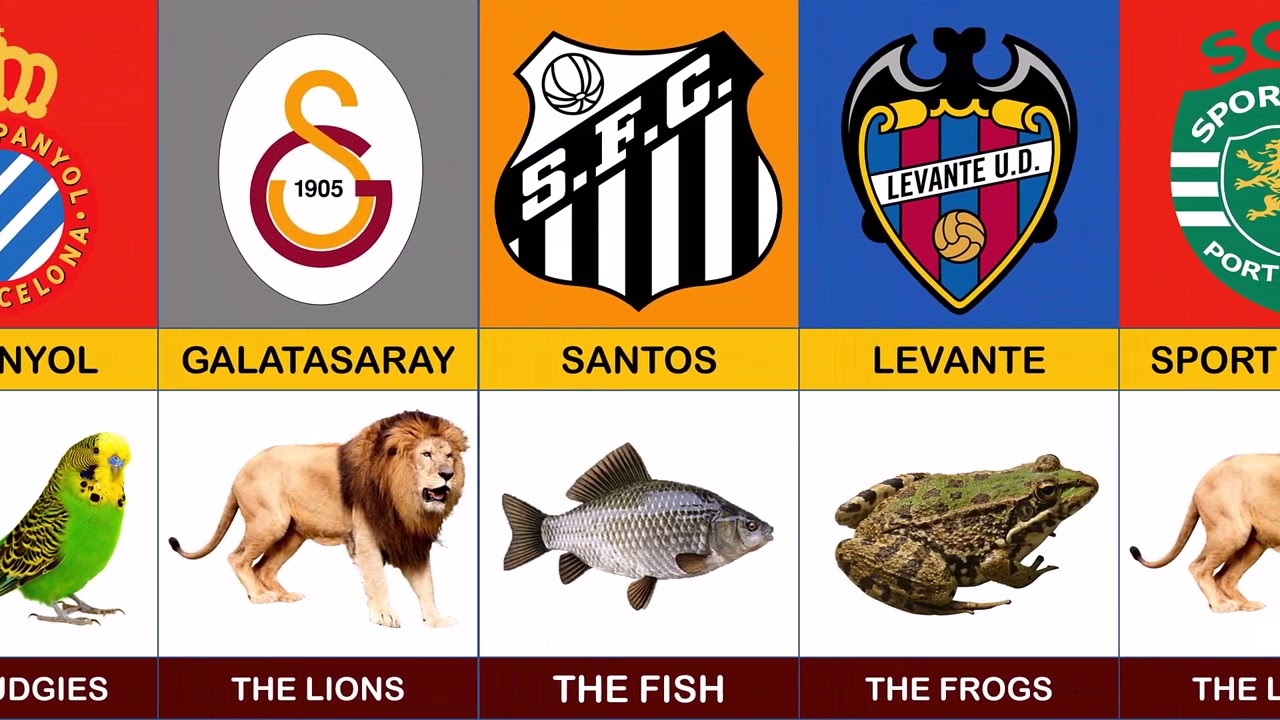 FOOTBALL CLUBS WITH ANIMAL NICKNAMES
