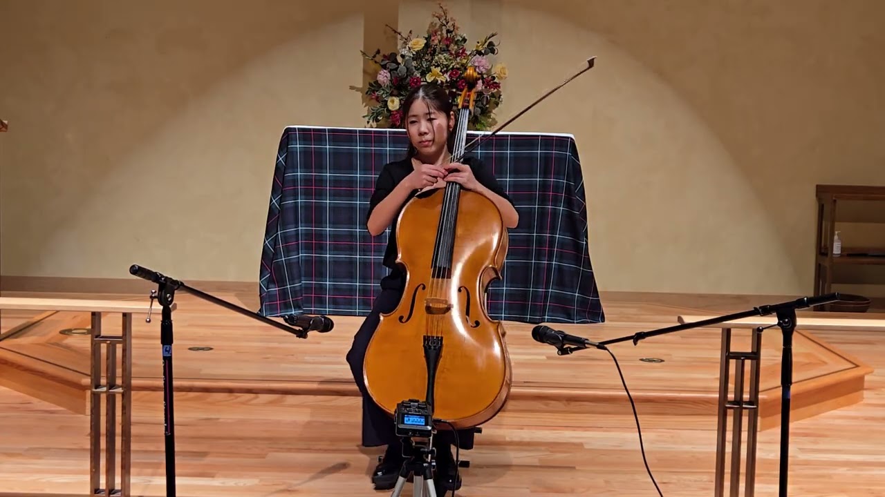 Haydn cello concerto no.2 in D major lll.Rondo Allegro. 