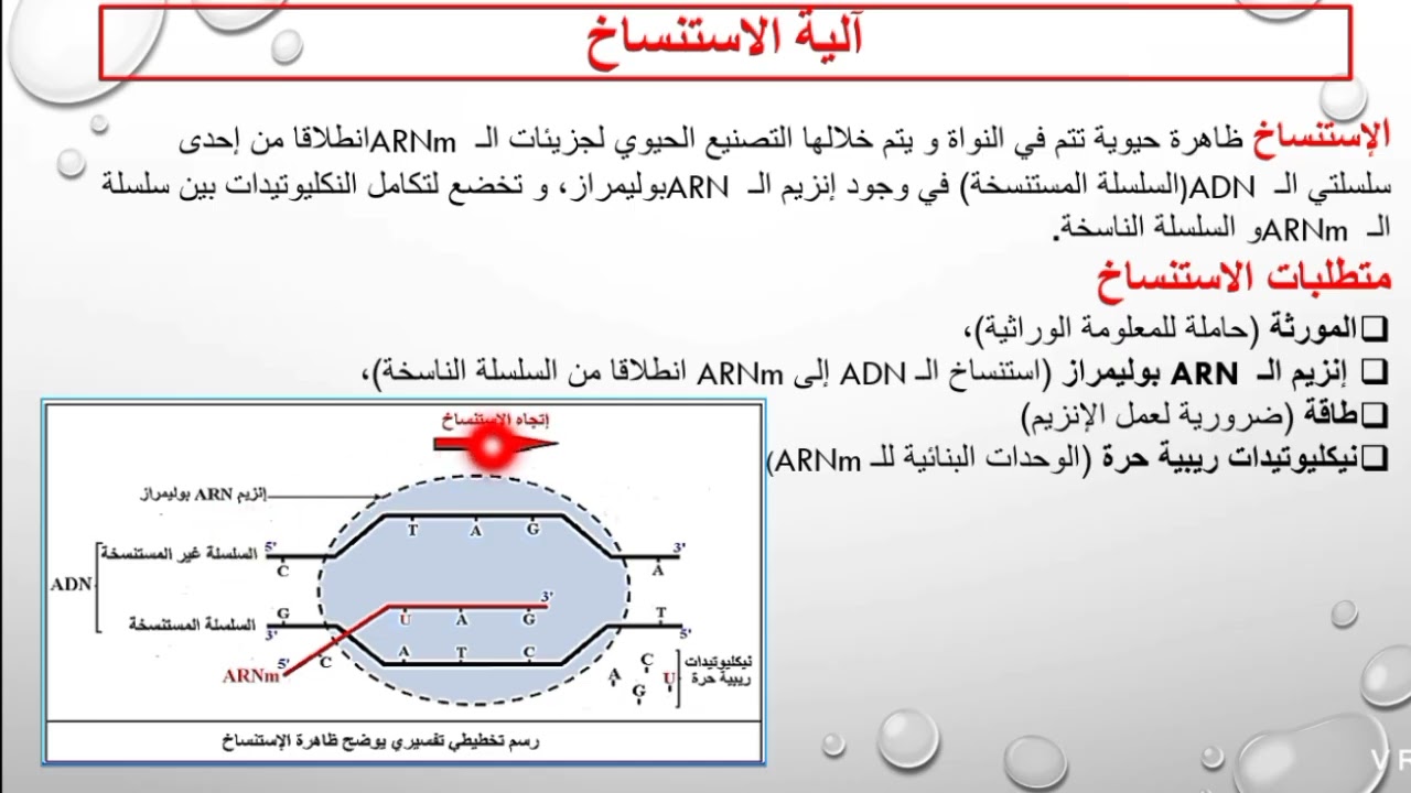ملخص آليات تركيب البروتين الجزء الأول بكالوريا