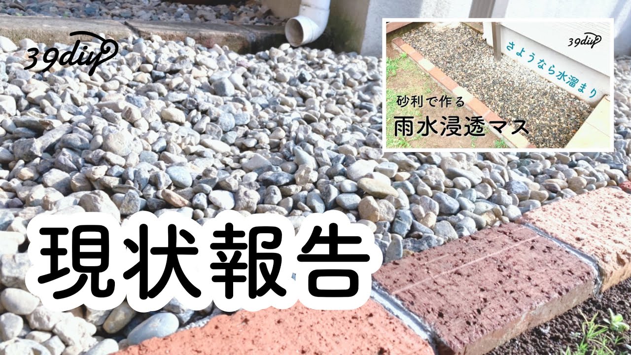 【DIYその後】雨水浸透マスの現状をご報告します！