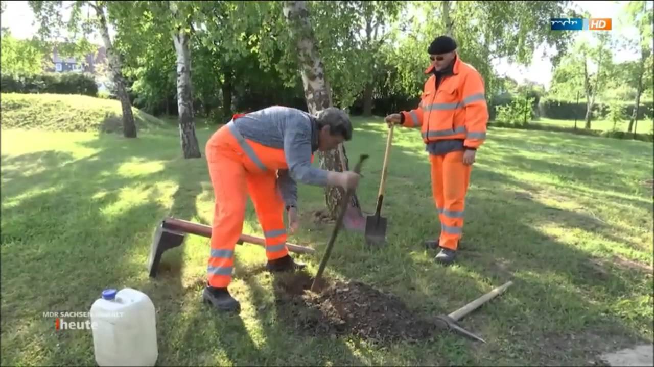 Mitmachen statt Meckern in Barby