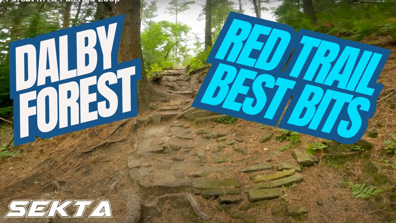 DALBY FOREST MTB💥Полностью красная трасса