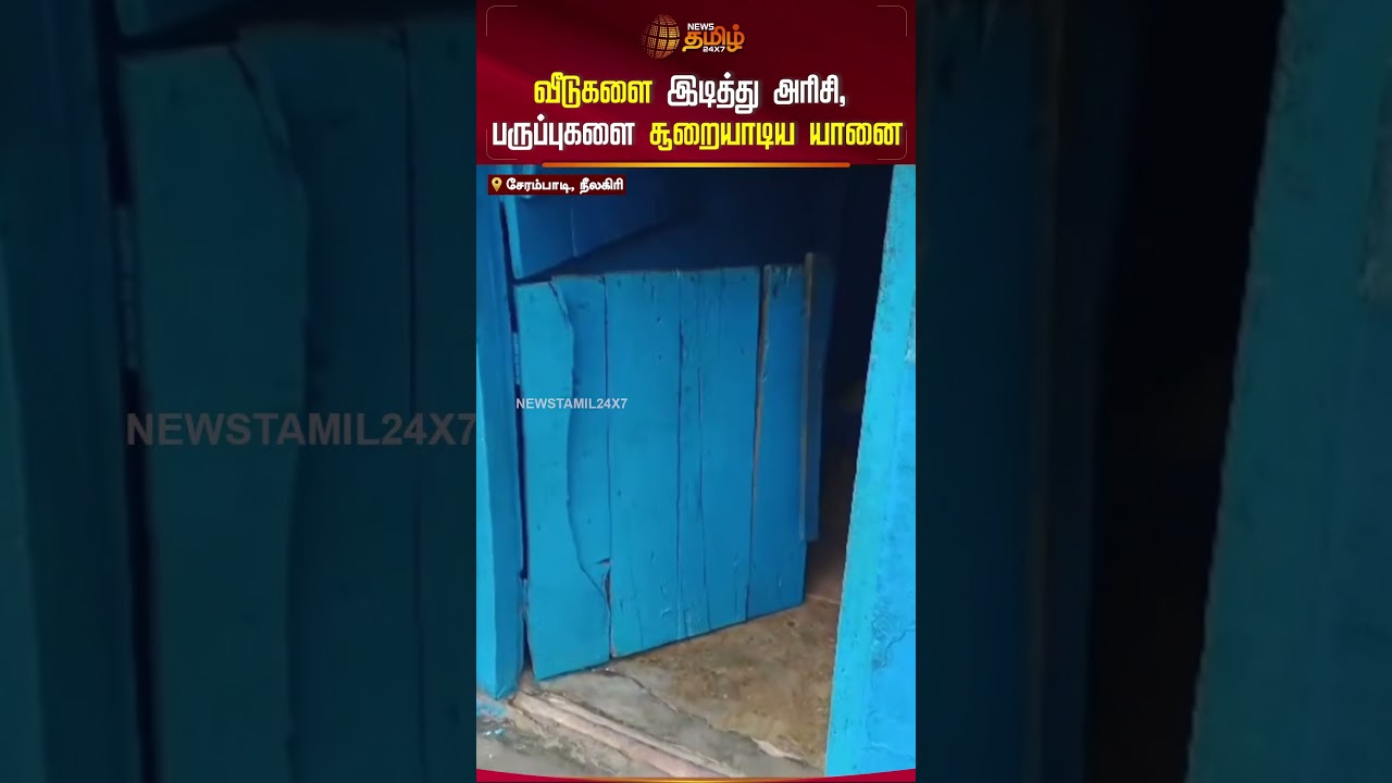 வீடுகளை இடித்து அரிசி, பருப்புகளை சூறையாடிய யானை! #elephant #nilgiris