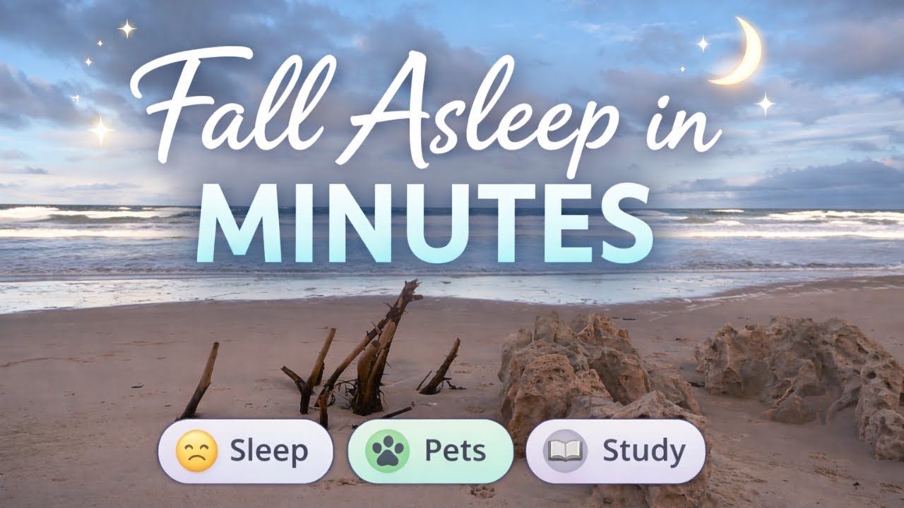 Calming music for sleeping 😴 | Deep Calming Sounds for Sleep, Pets & Study