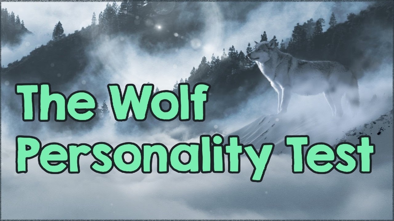 The Wolf Personality Test (How Well Do You Know Yourself?)