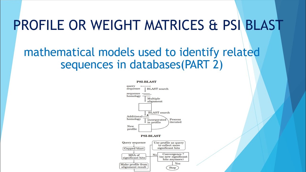 PROFILE OR WEIGHT MATRICES & PSI-BLAST | Mathematical Models - B.Sc/M.Sc Bioinformatics