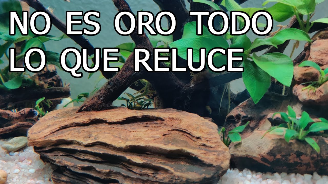 Repaso mensual a Isla Anubia #3