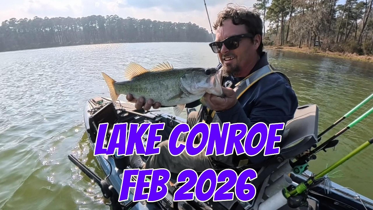 Lake Conroe Bass Fishing Feb 2026