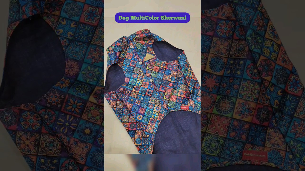 Indian Wedding Special Dog Sherwani 🐾🐶&hearts;️ #Dogshirt#sherwani#dogsherwani#dogfashion#dogclothes#shorts