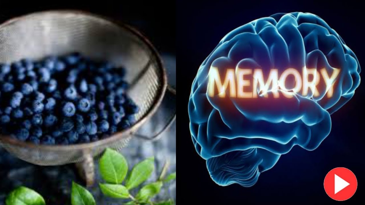 Blueberries and Brain Health | The Protective Effect of Blueberries On Your Memory