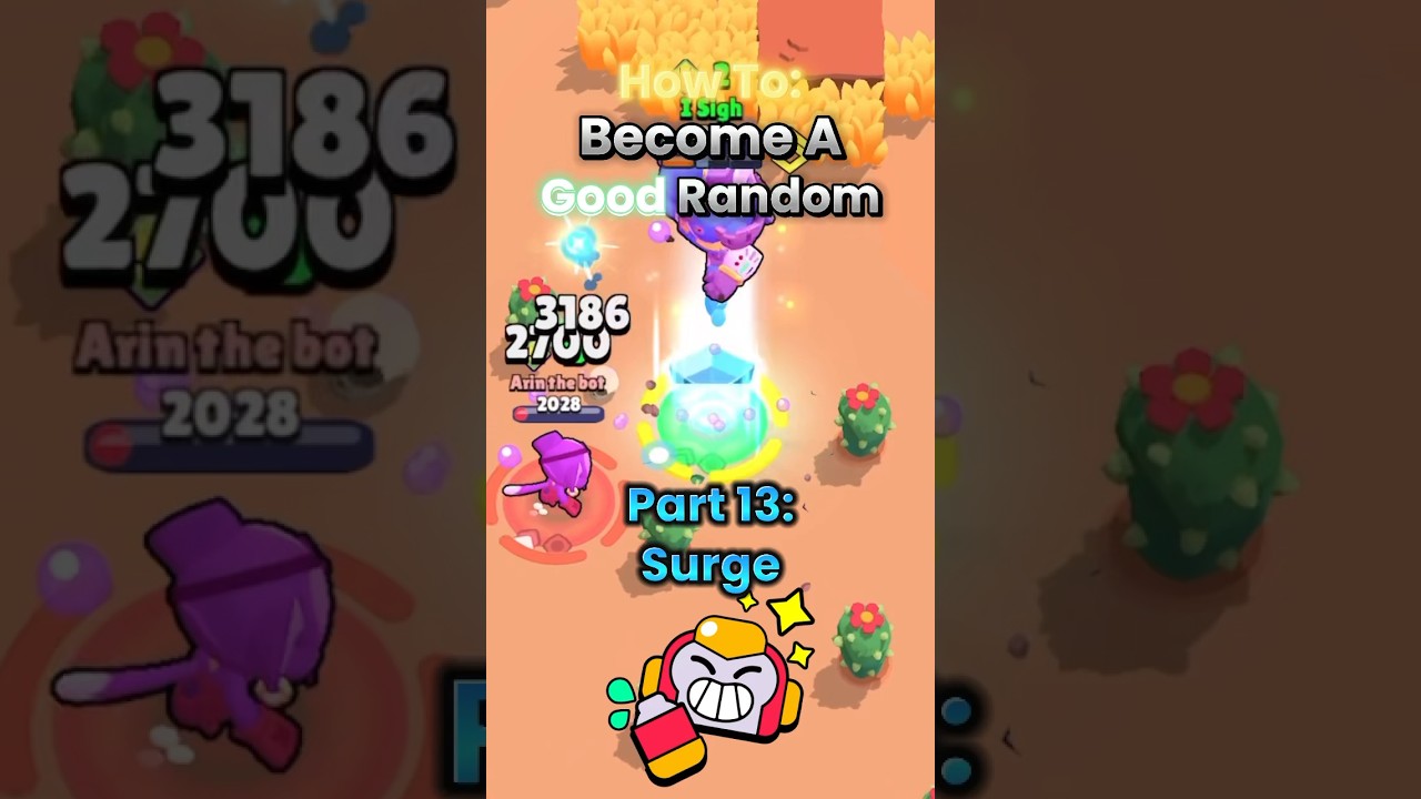 Surge Guide for My Randoms