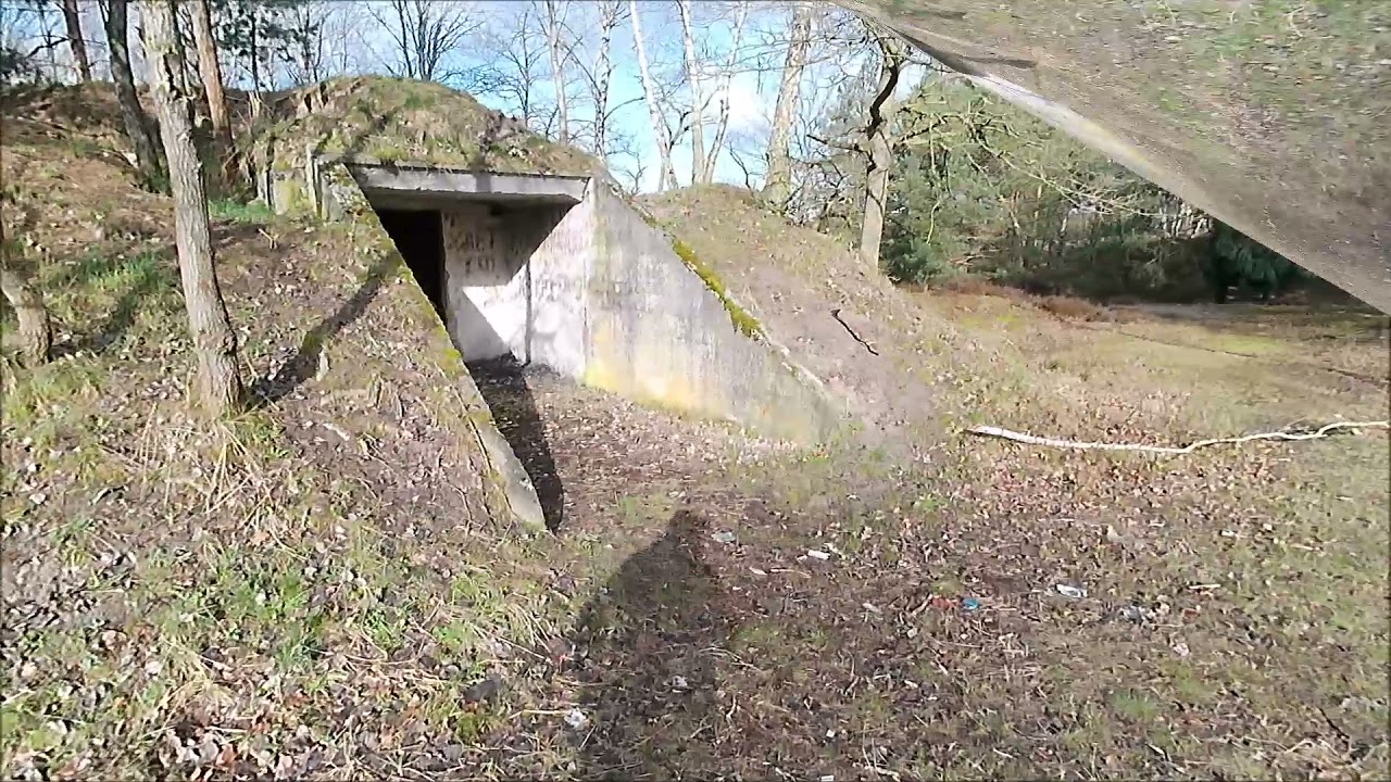 7km Bunker-Wanderung in der Heidelandschaft Gardelegen: Entdecke das Nationale Naturerbe Kellerberge