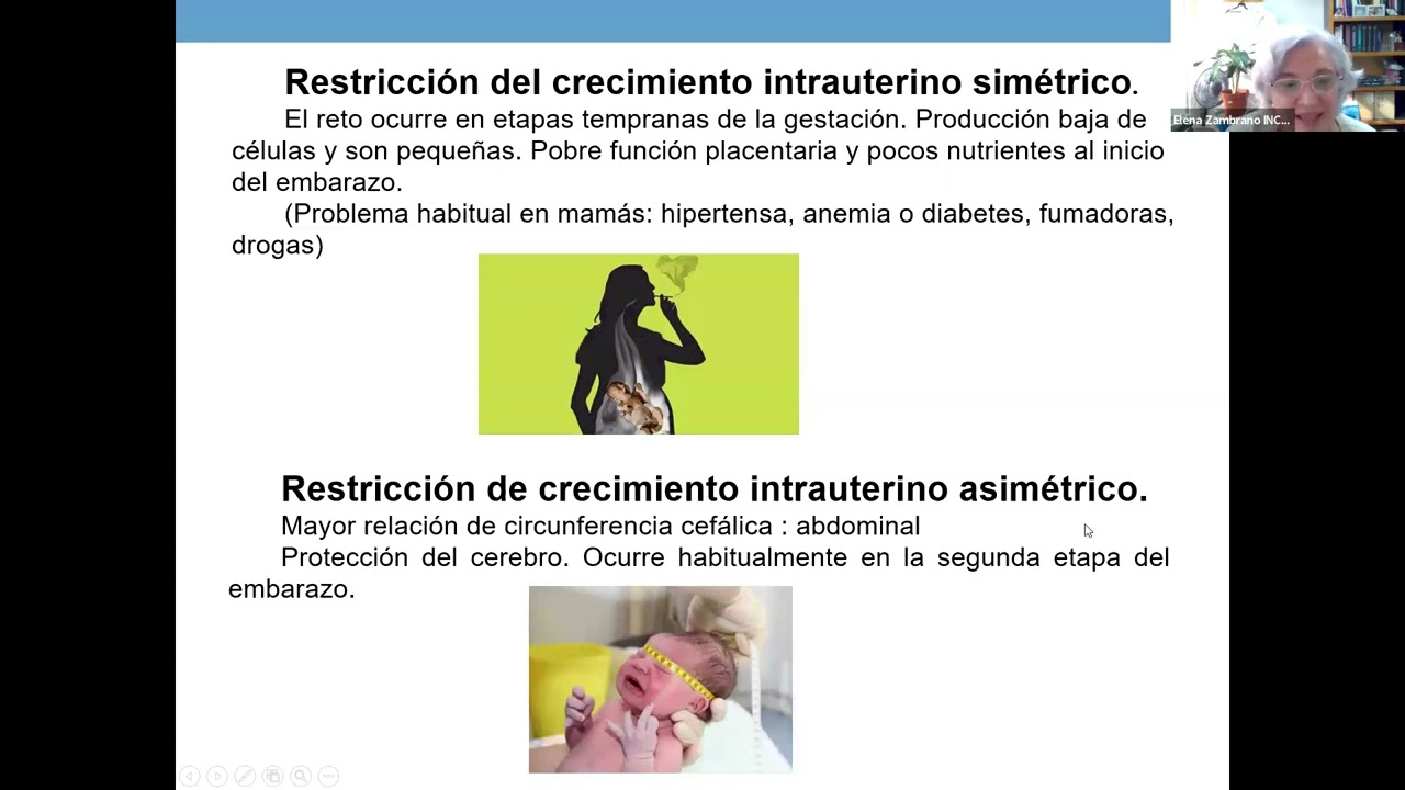 Obesidad materna y su impacto en la programación metabólica de la descendencia