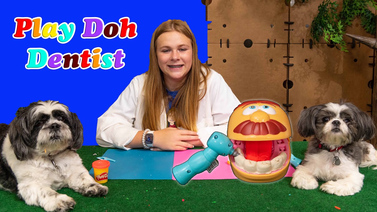 Assistant and Waggles Become a Play Doh Dentist in the Giant Box Fort