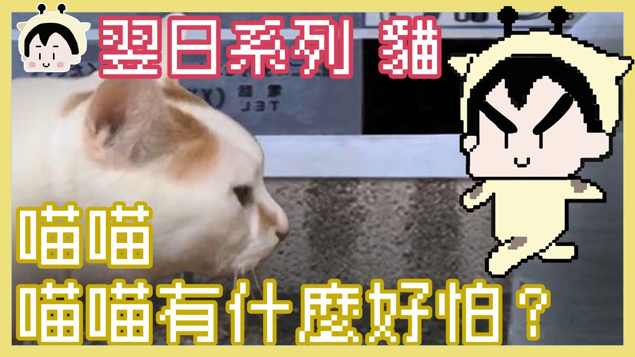 翌日系列 貓 電車 娃娃屋｜鹿人 阿啾 啾啾妹｜翌日系列  #2 貓 電車 娃娃屋｜玩什麼鬼啦｜
