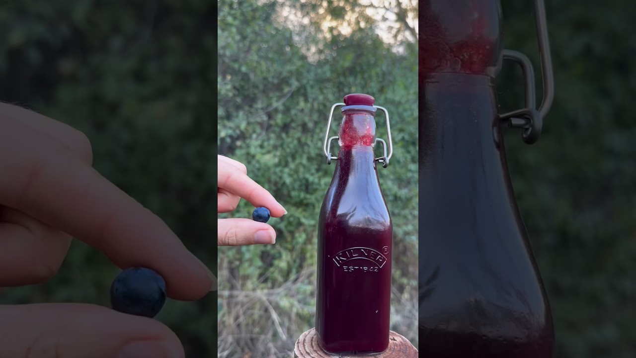 Sloe Balsamic 🫐 #forager #food #foraging #recipe #recipes #healthy #health #nature #wildfood