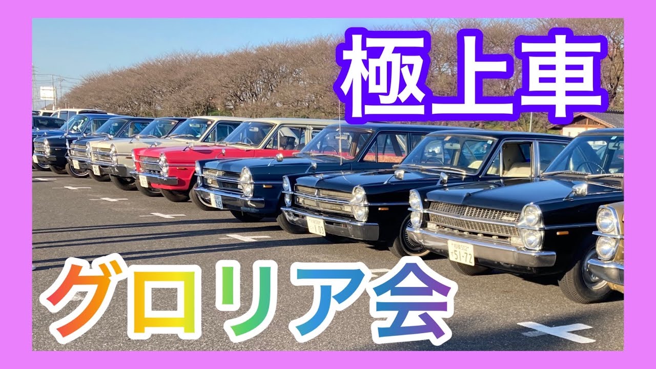 【極上車】グロリア会in埼玉県　権現堂公園行ってみた。グロリア　タテグロ　pa30 ha30 プリンス　グロリア