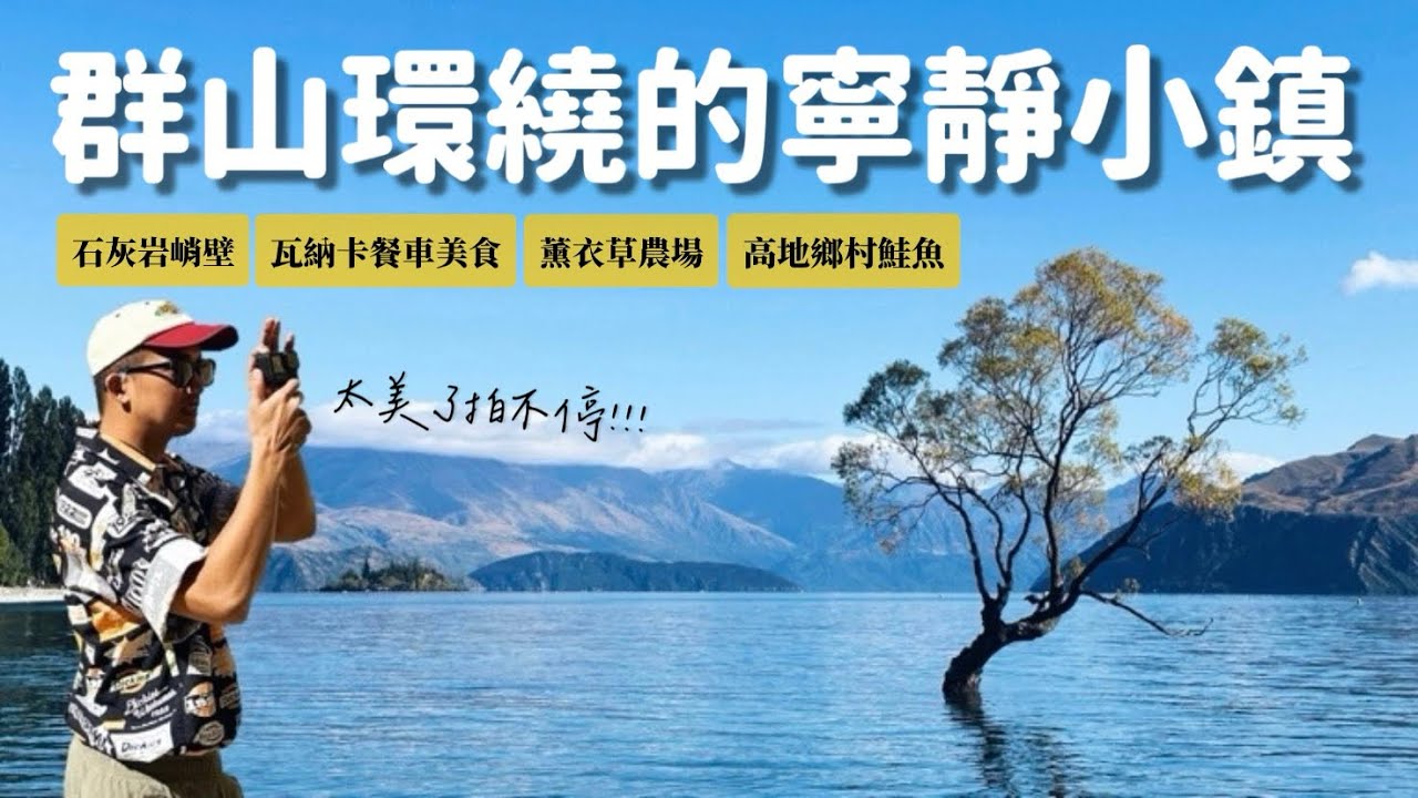 【🇳🇿紐西蘭EP7】出發瓦納卡🚗必吃新鮮鮭魚🐟盛開薰衣草農場超美花海🪻必訪景點孤獨樹🙌🏼美味餐車料理推薦👍🏼石灰岩峭壁 Wanaka 紐西蘭南島自駕自由行｜MK快樂鳥日子