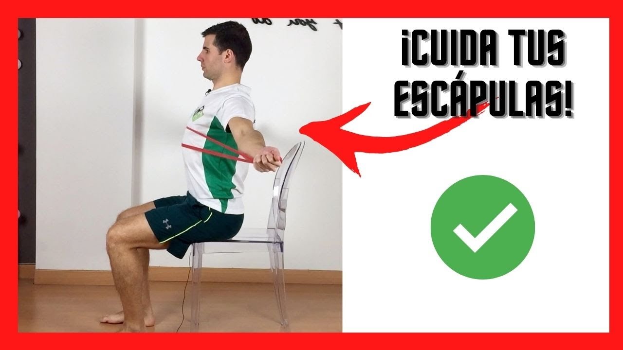 RETRACCIÓN ESCAPULAR 💪 (Ejercicio con BANDA ELÁSTICA para la ESPALDA) 👌
