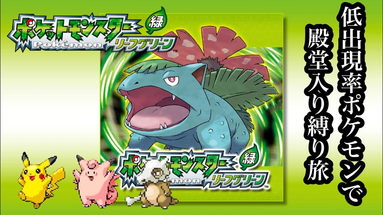 サファリハクリュー＆ケンタロス耐久バッジ4個～＃３