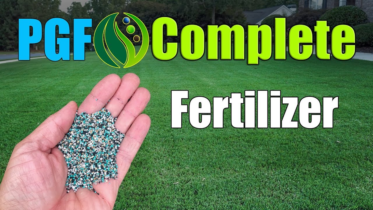 Best Lawn Fertilizer