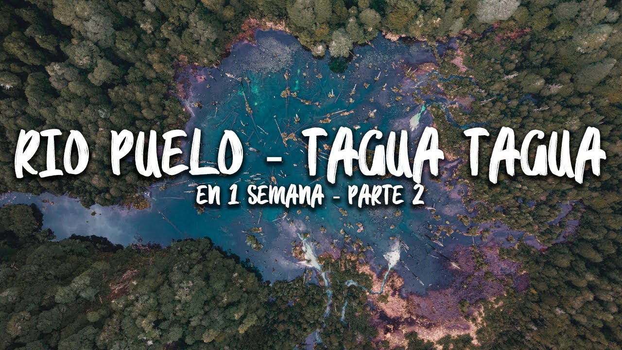 PARQUE TAGUA TAGUA - RIO PUELO CHILE - PARTE 2