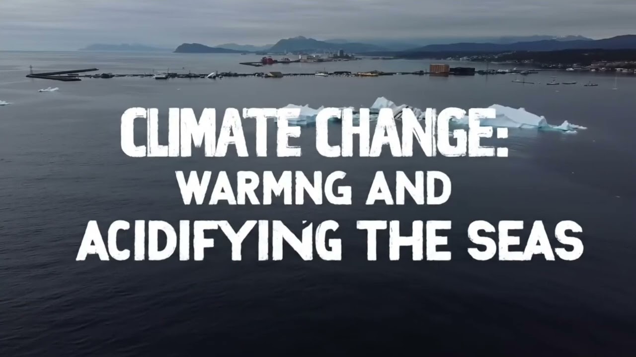 Ocean Life Unveiled: The Beauty and Threats of Marine Ecosystems