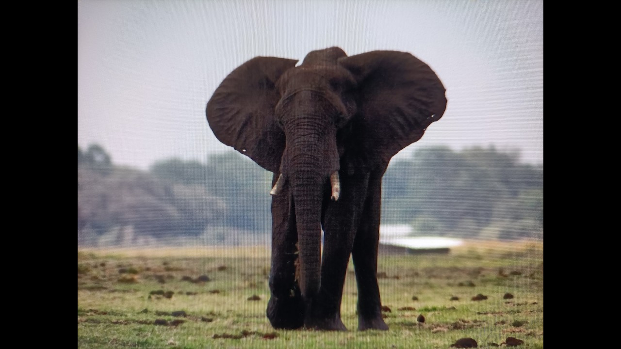 Afrique Australe suite 3-Le Botswana
