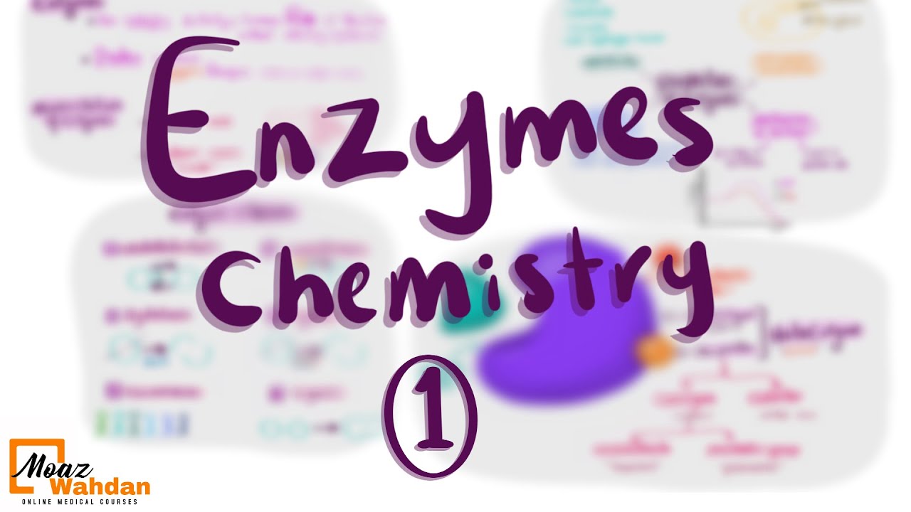 Enzyme Chemistry part (1) - Moaz Wahdan
