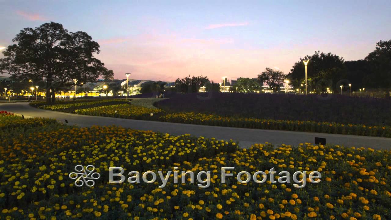 01107 P13Mud -12a 台北2010花博 花海 2010 TaipeiI International FLORA Exposition+T.wmv