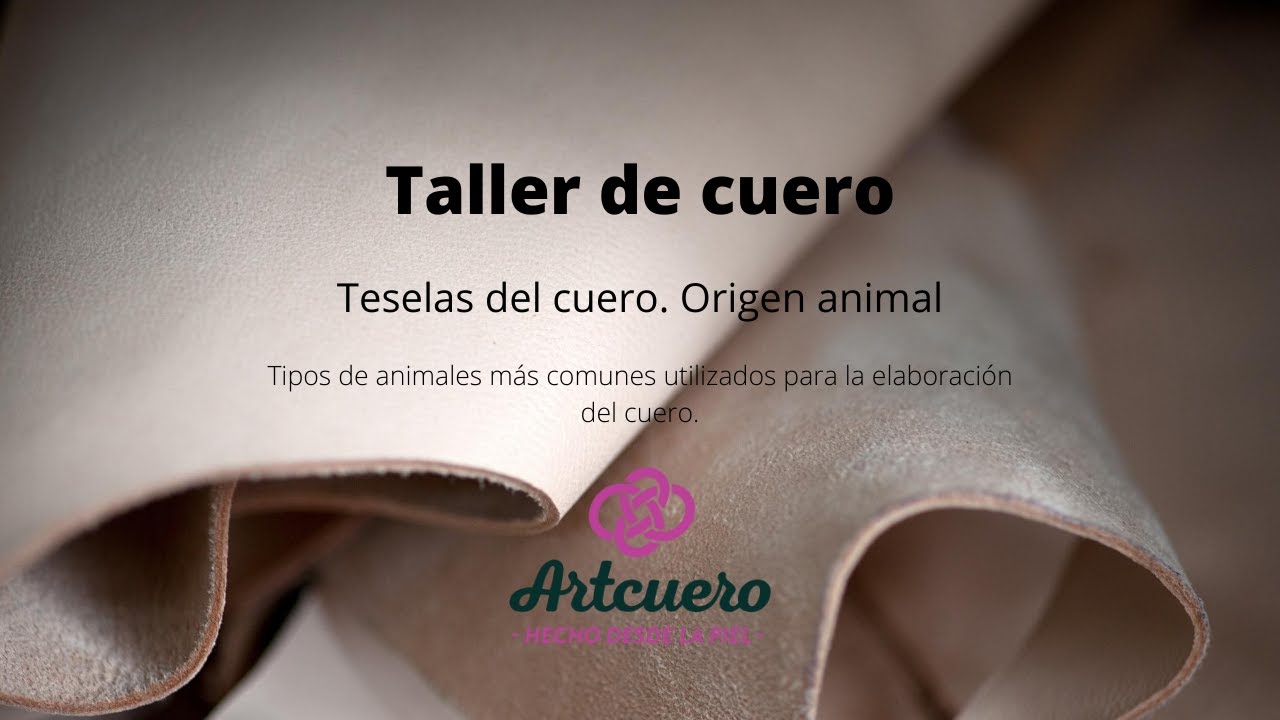 Tipos de cuero para la artesanía en piel. Taller de cuero.