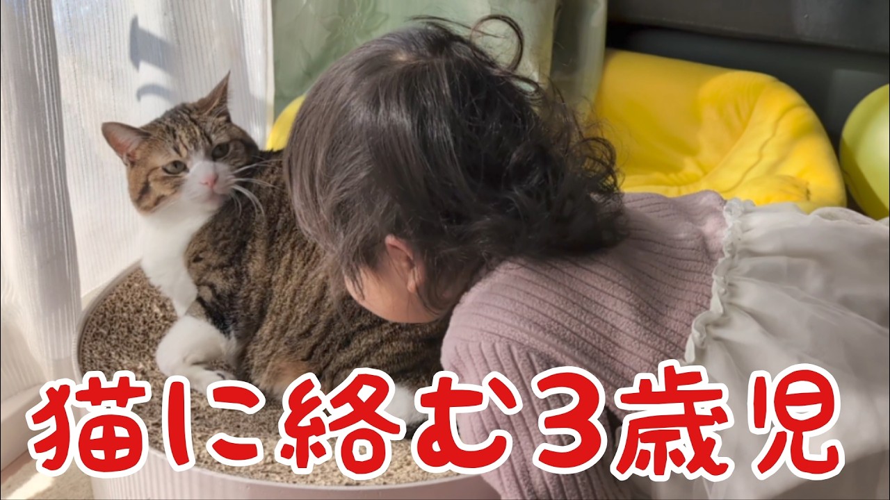穏やかな時間が一変！ vol.1531