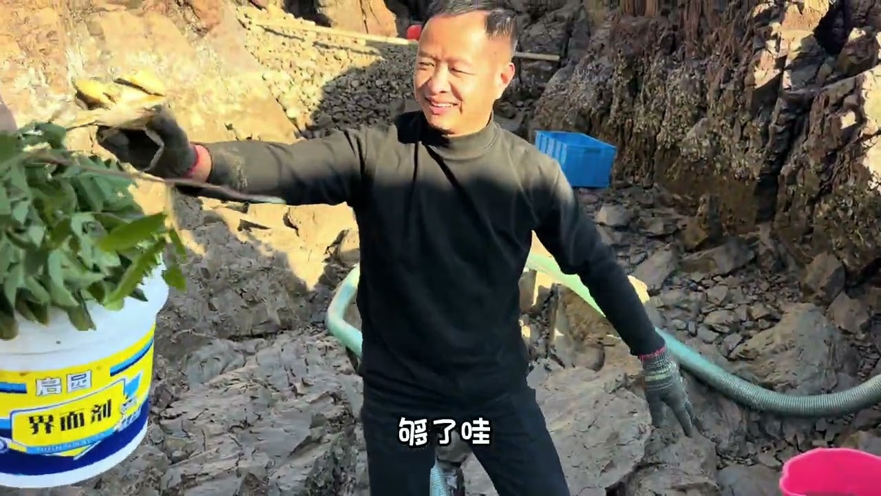 心心念念的螃蟹坑终于盘下了，大螃蟹一只脚就可以下一顿饭了
