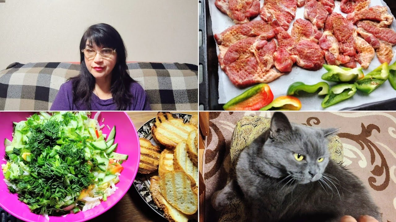 26 февраля 2026 г Краматорск. ВЕЧЕР/ Неспокойно, слышны💥💥Спешу, готовлю - гости🙂Мясо в духовке👍Буся🐱