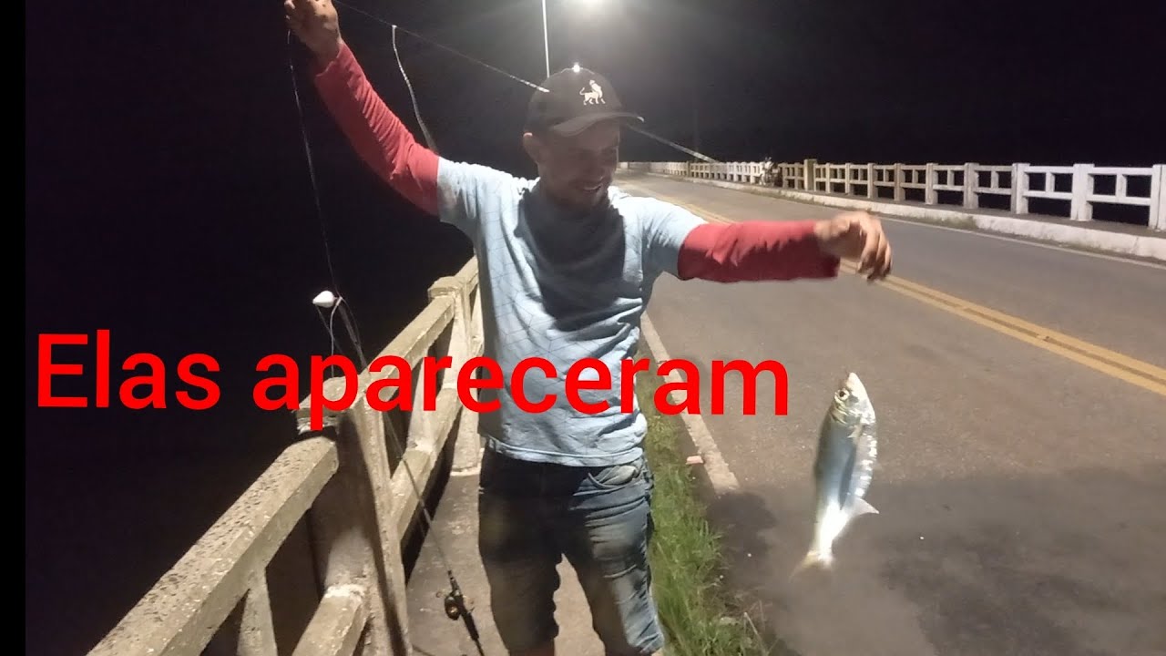 Diversão e pescaria na ponte do Rio mosqueiro 