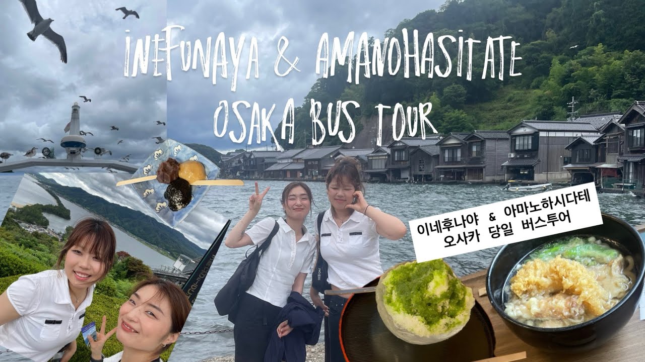 🇰🇷일본 교토 이네후나야 & 아마노하시다테 / 오사카 출발 당일치기 버스투어🇯🇵